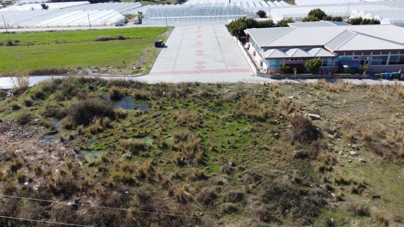 Apartments, Turkey, Alanya, Паяллар (002460) - pictures 31