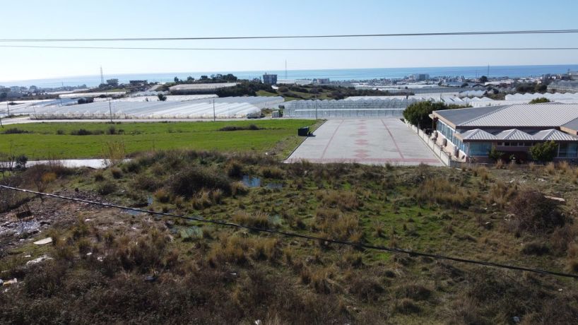 Apartments, Turkey, Alanya, Паяллар (002460) - pictures 30