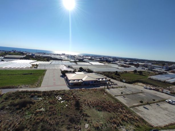 Apartments, Turkey, Alanya, Паяллар (002460) - pictures 29