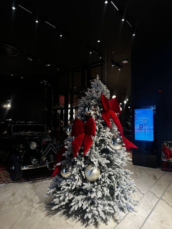 Hotel rooms, Turkey, Izmir (001277) - pictures 12