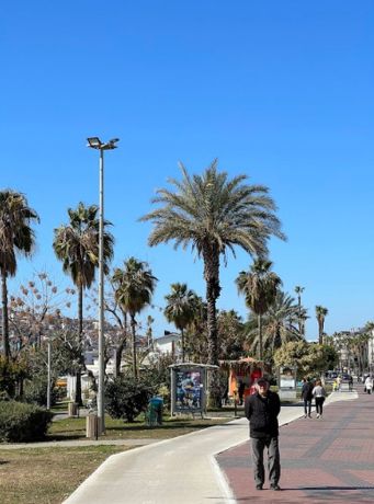 Квартиры, Турция, Алания, Тосмур (14300) - фото 10