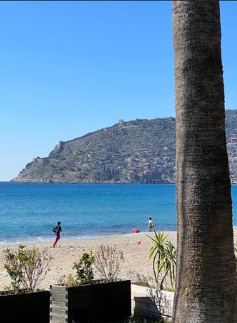 Квартиры, Турция, Алания, Тосмур (14300) - фото 11