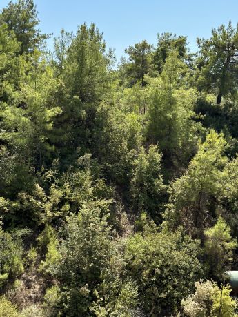 Apartments, Turkey, Alanya, Avsallar (16800) - pictures 31