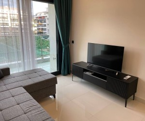 Fully furnished modern apartment from an investor in Kargicak area (18100)