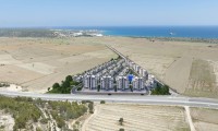 North Cyprus, Boaz (001497) - thumb 17