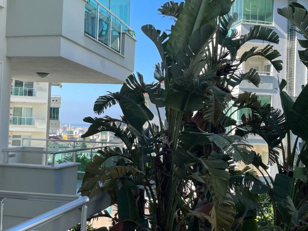 Квартиры, Турция, Алания, Оба (28400) - фото 4