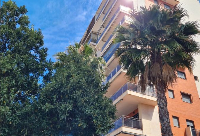 Квартиры, Испания, Аликанте (003237) - фото 3