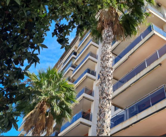 Квартиры, Испания, Аликанте (003237) - фото 6