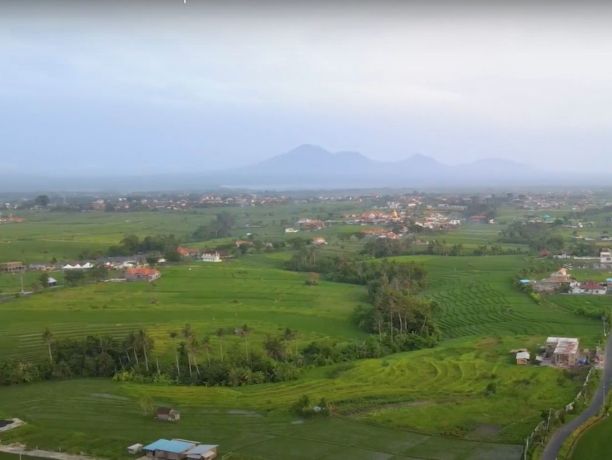 Apartments, Indonesia, Bali, Canggu (016492) - pictures 12