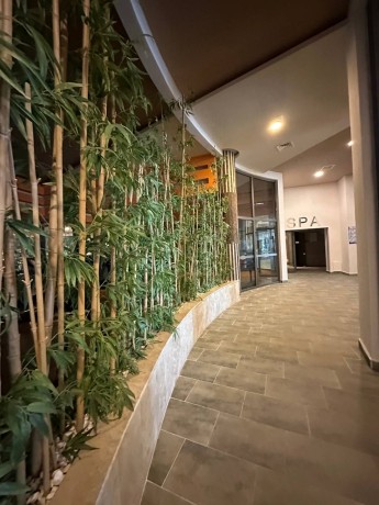 Квартиры, Турция, Алания, Каргыджак (0220001) - фото 30