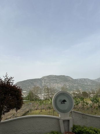 Apartments, Turkey, Alanya, Mahmutlar (0330001) - pictures 6