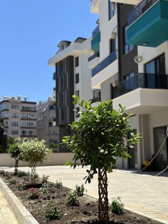 Apartments, Turkey, Alanya, Kleopatra (41500) - pictures 3