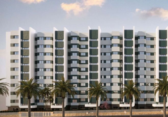 Apartments, Spain, Torrevieja (225237) - pictures 8