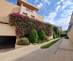 Spacious townhouse in Alicante with luxury amenities (231237)