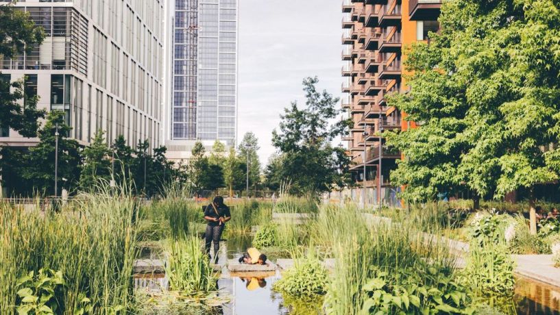 Apartments, United Kingdom, London (016283) - pictures 5