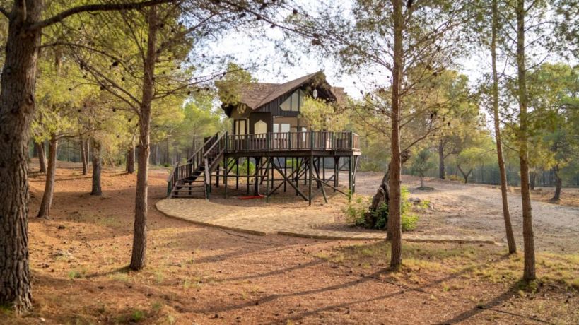 Villas, Spain, Аликанте (247237) - pictures 22