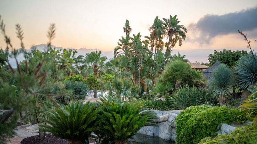 Villas, Spain, Аликанте (247237) - pictures 12