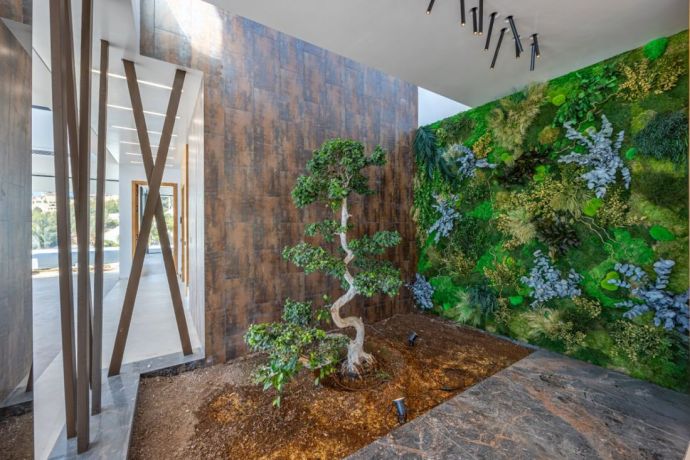 Villas, Spain, Аликанте (250237) - pictures 20