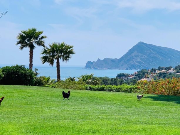 Виллы, Испания, Аликанте (251237) - фото 6