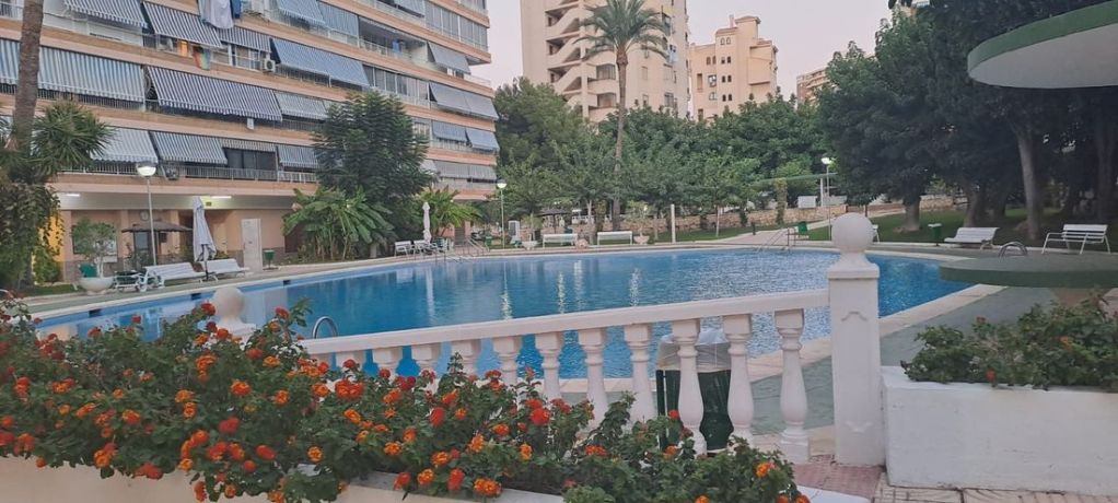 Apartments, Spain, Аликанте (259237) - pictures 3