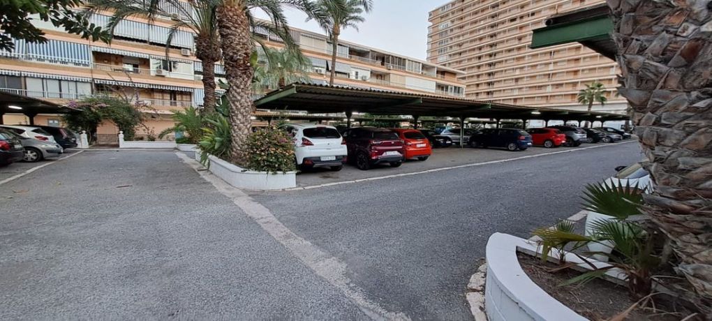 Apartments, Spain, Аликанте (259237) - pictures 9