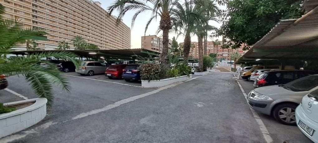 Apartments, Spain, Аликанте (259237) - pictures 10