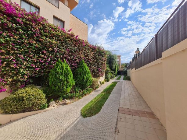 Townhouses, Spain, Аликанте (275237) - pictures 2