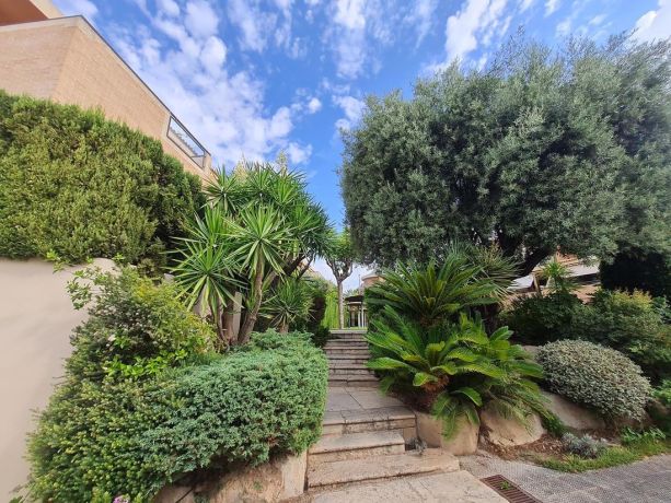 Townhouses, Spain, Аликанте (275237) - pictures 6