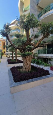 Apartments, Turkey, Alanya, Alanya centre (0450001) - pictures 5