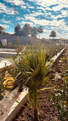 Apartments, Turkey, Alanya, Avsallar (001188-1) - pictures 4