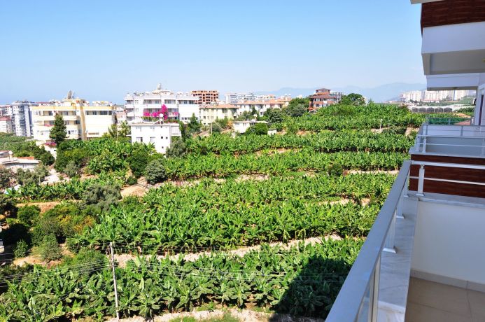 Apartments, Turkey, Alanya, Mahmutlar (00614) - pictures 36