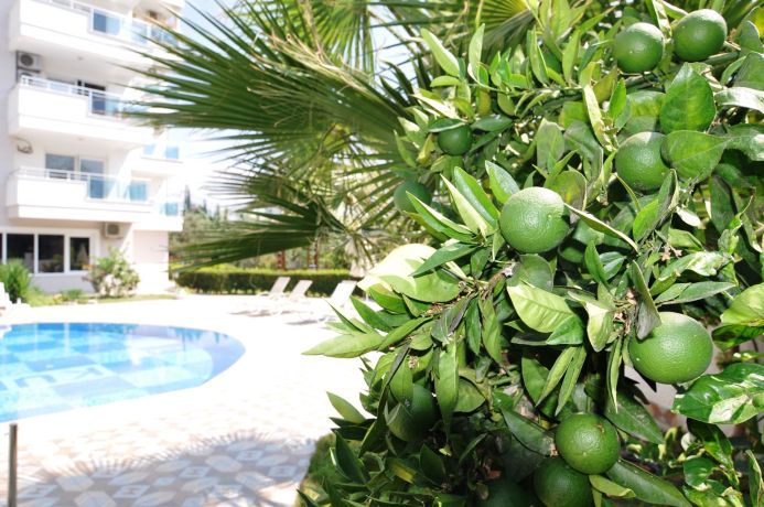 Apartments, Turkey, Alanya, Mahmutlar (00614) - pictures 28