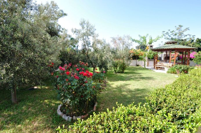 Apartments, Turkey, Alanya, Mahmutlar (00614) - pictures 24