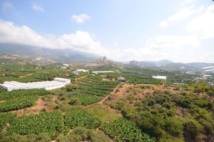 Apartments, Turkey, Alanya, Mahmutlar (01112) - pictures 15